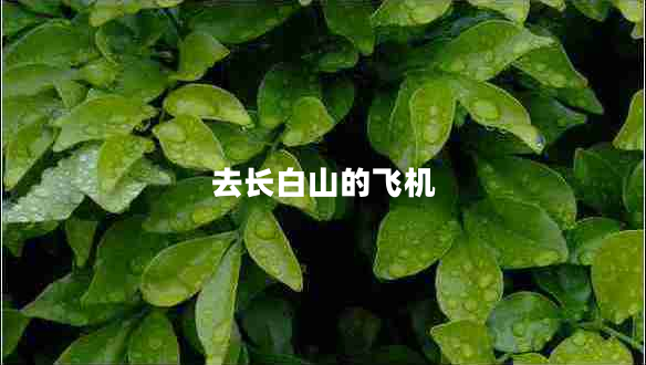 去長白山的飛機 去長白山的飛機