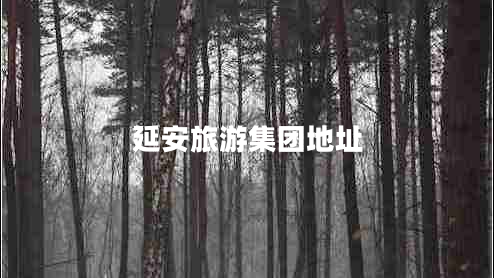 延安旅游集團(tuán)地址