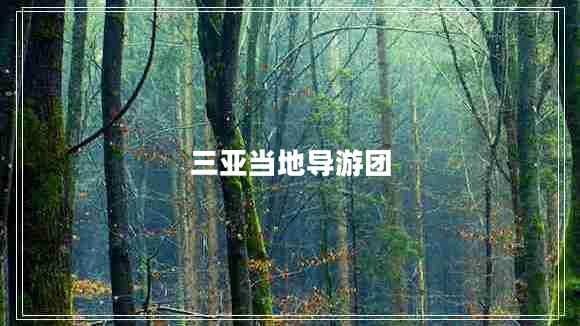 三亞當(dāng)?shù)貙?dǎo)游團(tuán) 三亞當(dāng)?shù)貙?dǎo)游團(tuán)