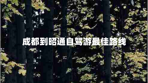 成都到昭通自駕游最佳路線