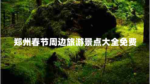 鄭州春節(jié)周邊旅游景點(diǎn)大全免費(fèi)