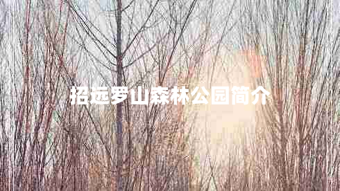 招遠(yuǎn)羅山森林公園簡(jiǎn)介