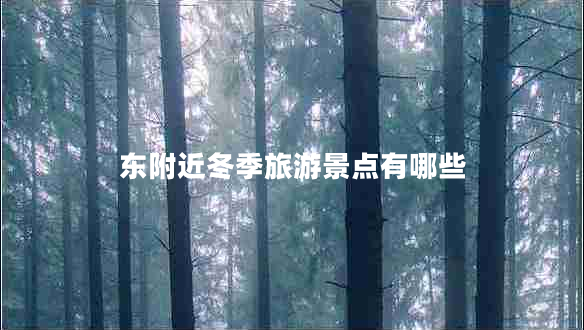 東附近冬季旅游景點(diǎn)有哪些 東附近冬季旅游景點(diǎn)有哪些