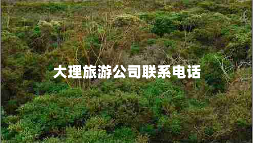 大理旅游公司聯(lián)系電話