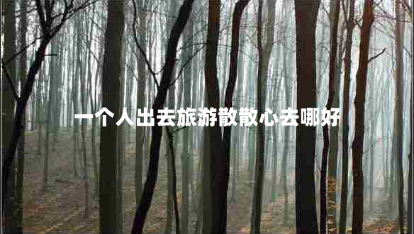 一個人出去旅游散散心去哪好 一個人出去旅游散散心去哪好