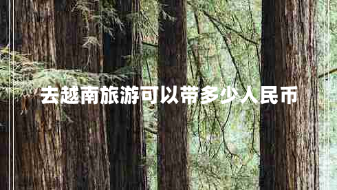 去越南旅游可以帶多少人民幣 去越南旅游可以帶多少人民幣