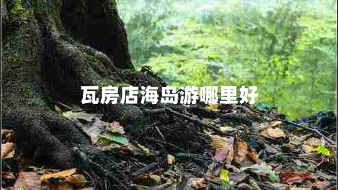 瓦房店海島游哪里好 瓦房店海島游哪里好
