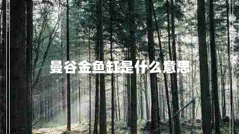 曼谷金魚缸是什么意思 曼谷金魚缸是什么意思