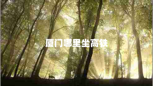 廈門哪里坐高鐵 廈門哪里坐高鐵