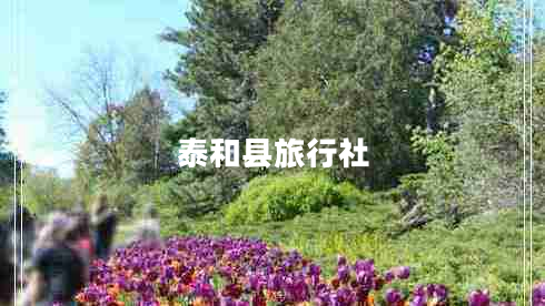 泰和縣旅行社 泰和縣旅行社