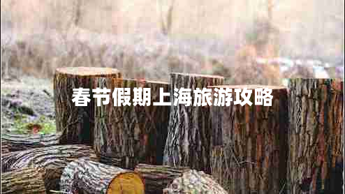 春節(jié)假期上海旅游攻略 春節(jié)假期上海旅游攻略