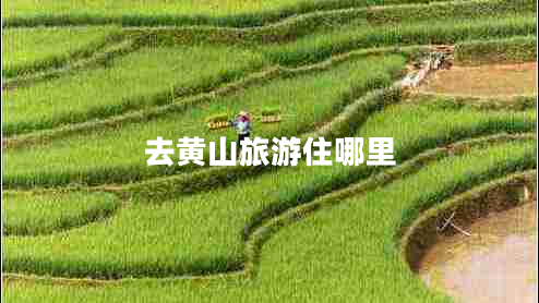 去黃山旅游住哪里