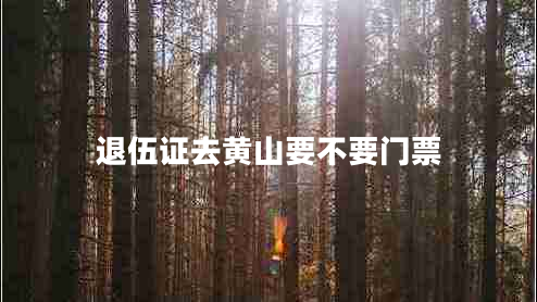 退伍證去黃山要不要門票 退伍證去黃山要不要門票
