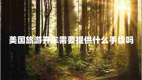美國(guó)旅游開(kāi)車需要提供什么手續(xù)嗎 美國(guó)旅游開(kāi)車需要提供什么手續(xù)嗎