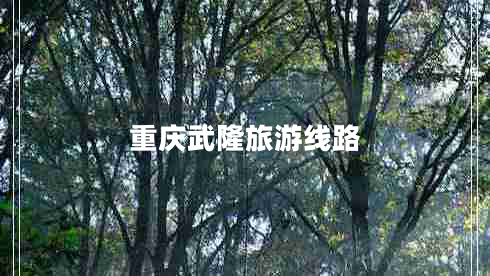 重慶武隆旅游線路 重慶武隆旅游線路