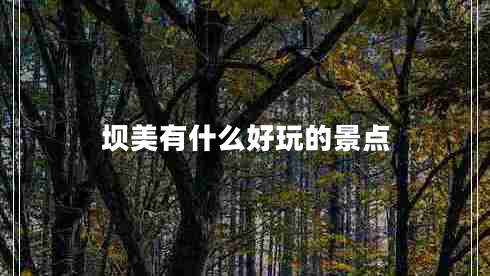 壩美有什么好玩的景點