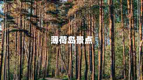 薄荷島景點(diǎn) 薄荷島景點(diǎn)