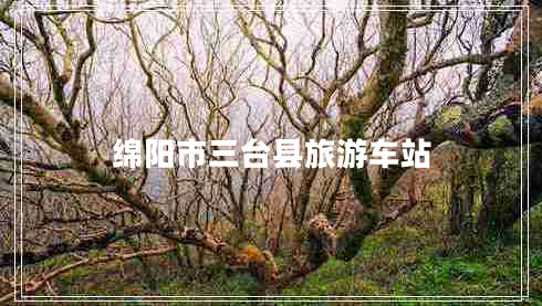 綿陽市三臺縣旅游車站