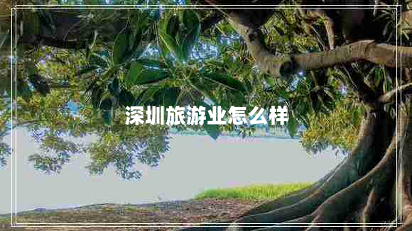 深圳旅游業(yè)怎么樣