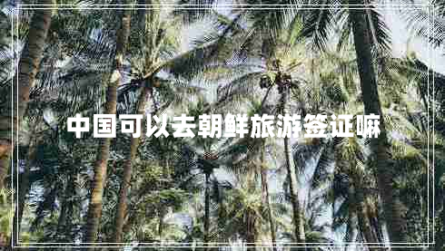中國可以去朝鮮旅游簽證嘛 中國可以去朝鮮旅游簽證嘛