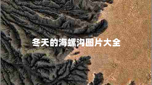冬天的海螺溝圖片大全 冬天的海螺溝圖片大全