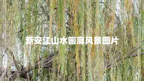 新安江山水畫(huà)廊風(fēng)景圖片 新安江山水畫(huà)廊風(fēng)景圖片