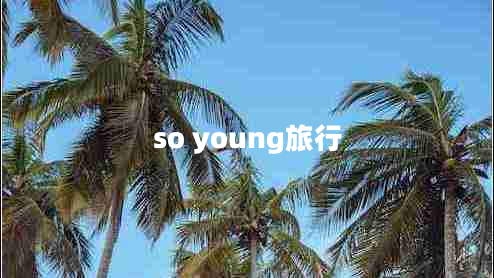 so young旅行 so young旅行