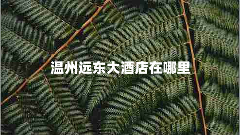 溫州遠(yuǎn)東大酒店在哪里 溫州遠(yuǎn)東大酒店在哪里