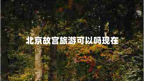 北京故宮旅游可以嗎現(xiàn)在 北京故宮旅游可以嗎現(xiàn)在
