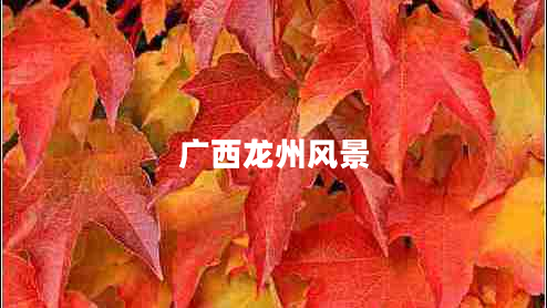 廣西龍州風(fēng)景 廣西龍州風(fēng)景