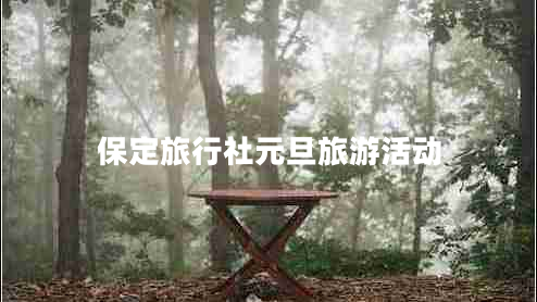 保定旅行社元旦旅游活動(dòng) 保定旅行社元旦旅游活動(dòng)