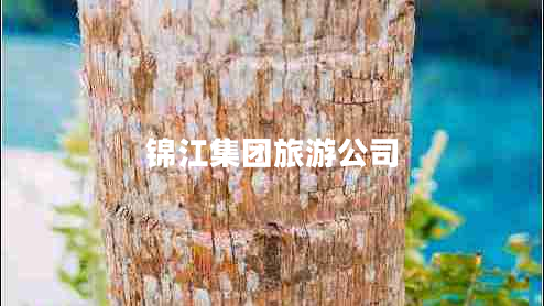 錦江集團旅游公司 錦江集團旅游公司
