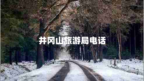 井岡山旅游局電話