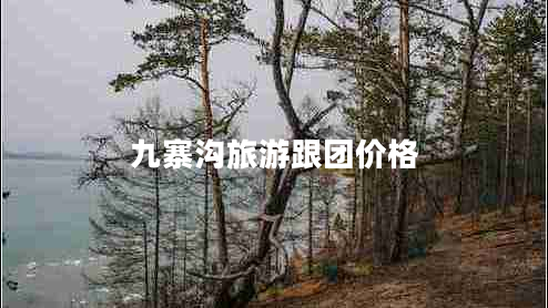 九寨溝旅游跟團(tuán)價(jià)格 九寨溝旅游跟團(tuán)價(jià)格