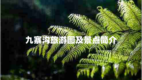 九寨溝旅游圖及景點(diǎn)簡介 九寨溝旅游圖及景點(diǎn)簡介