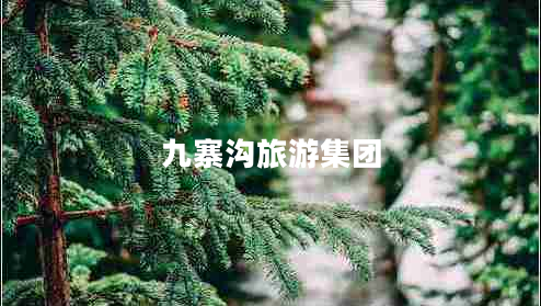 九寨溝旅游集團(tuán)
