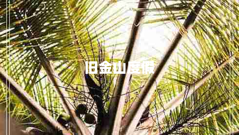 舊金山度假 舊金山度假