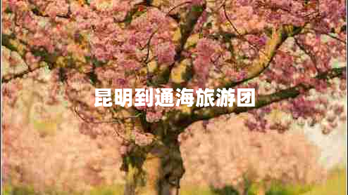 昆明到通海旅游團 昆明到通海旅游團