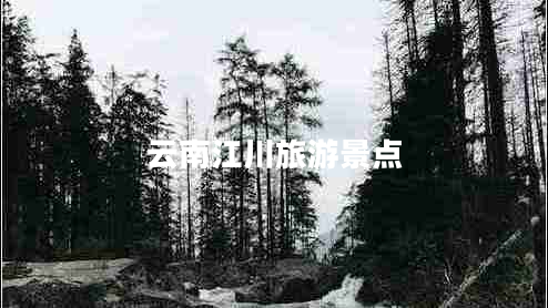 云南江川旅游景點(diǎn) 云南江川旅游景點(diǎn)