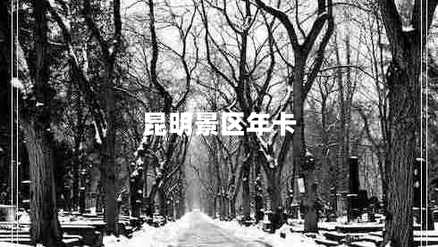 昆明景區(qū)年卡 昆明景區(qū)年卡