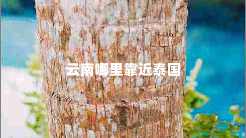 云南哪里靠近泰國 云南哪里靠近泰國