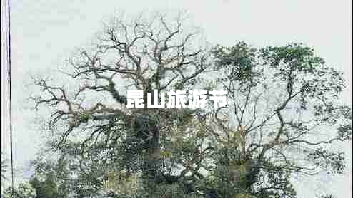 昆山旅游節(jié)