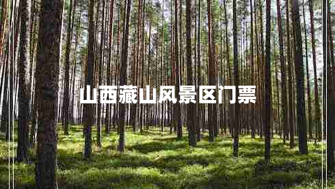 山西藏山風(fēng)景區(qū)門票