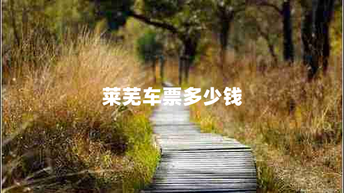 萊蕪車票多少錢