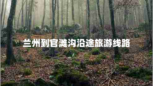 蘭州到官灘溝沿途旅游線路 蘭州到官灘溝沿途旅游線路