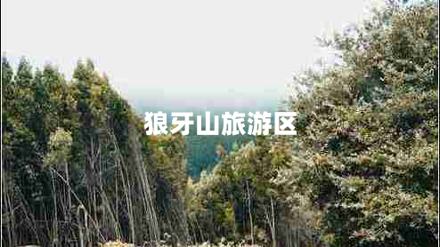 狼牙山旅游區(qū) 狼牙山旅游區(qū)