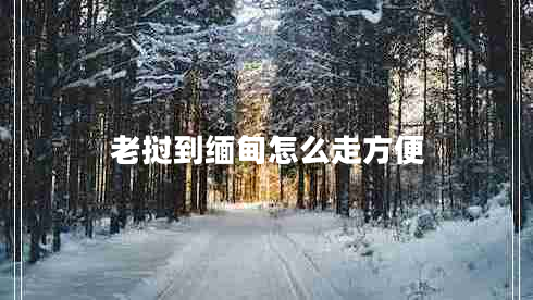 老撾到緬甸怎么走方便 老撾到緬甸怎么走方便