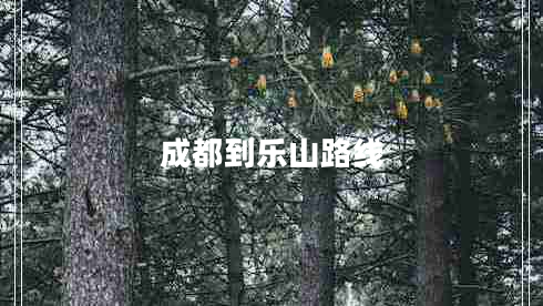 成都到樂山路線 成都到樂山路線
