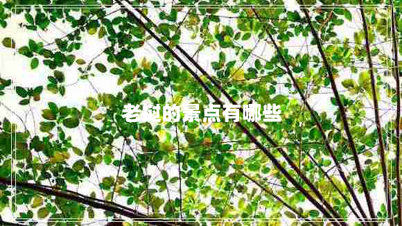 老撾的景點(diǎn)有哪些