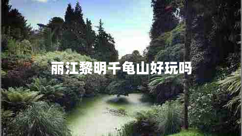 麗江黎明千龜山好玩嗎